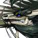 wmctalon's avatar