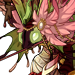 Hartora's avatar