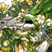 DarkCarnival's avatar