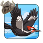 Woodpecker Buddy