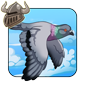 Pigeon Buddy