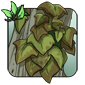 Sand Creeper