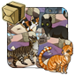 Crazy Cat Dragon Starter Kit