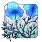 Dried Flowers