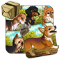 Doggy Daycare