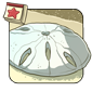 Giant Sand Dollar