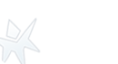 Ice icon